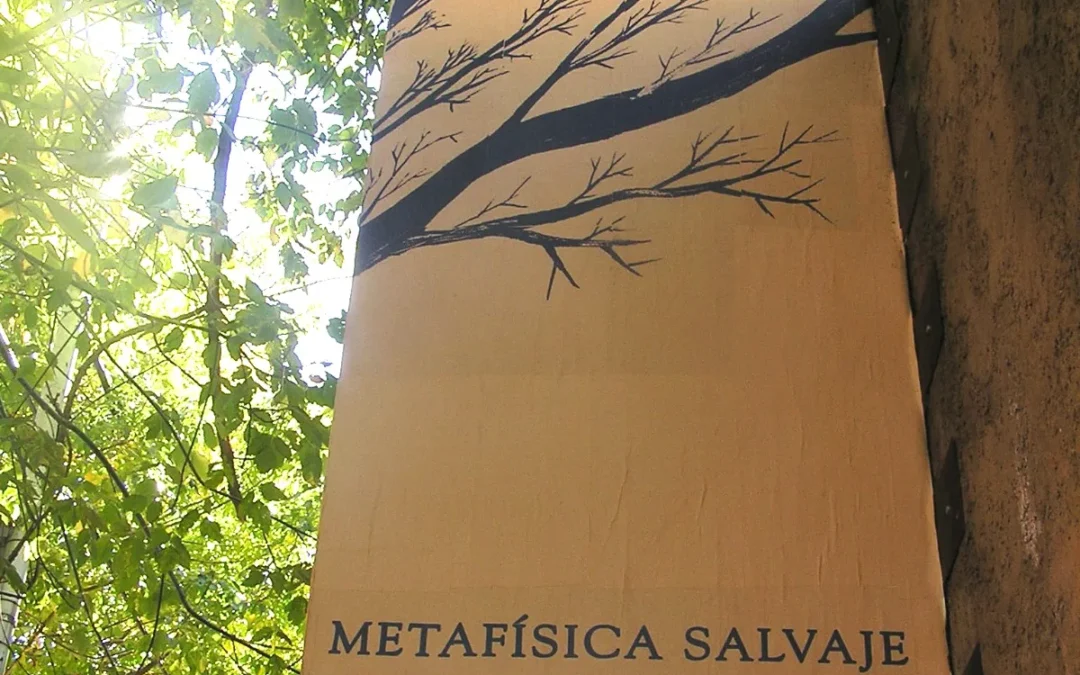 Exhibición Metafísica Salvaje en Papelera Palermo